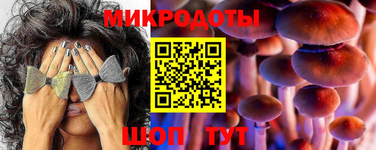 Шарыпово  Псилоцибиновые грибы мухоморы  Галлюциногенные грибы мухоморы  Вход с VPN 