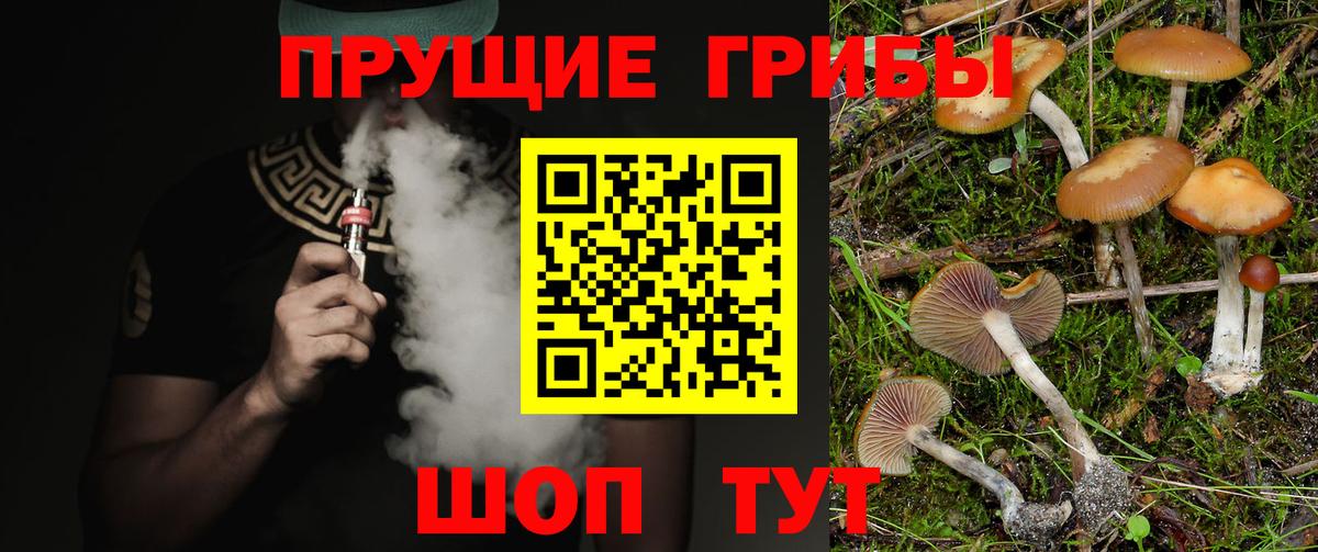 Псилоцибиновые грибы Psilocybine cubensis Шарыпово